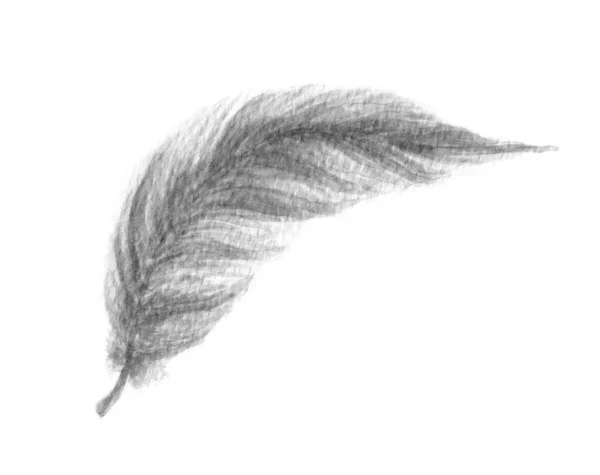 Vintage Feather Geïsoleerd Witte Achtergrond Boho Stijl Vleugels Aquarelillustratie Bird — Stockfoto