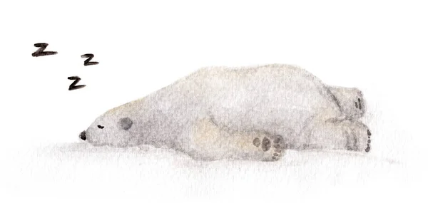 Ручний Акварельний Білий Ведмідь Милий Дизайн Сплячих Тварин Сплячий Білий — стокове фото