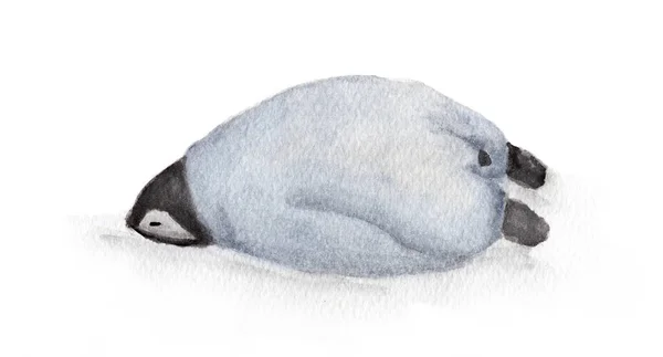 Pinguino Pigro Che Dorme Uno Sfondo Bianco Illustrazione Acquerello Dipinto — Foto Stock