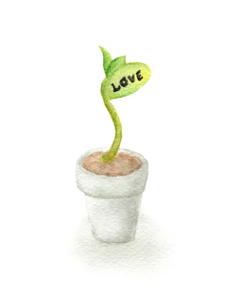 Aşkın Büyümesi Temiz Beyaz Arka Planda Suluboya Ile Resmedilmiş Aşkla — Stok fotoğraf