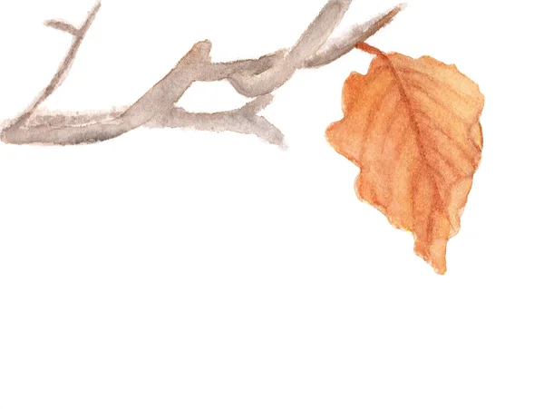교과서 가을을 배경으로 드라이 가지의 — 스톡 사진