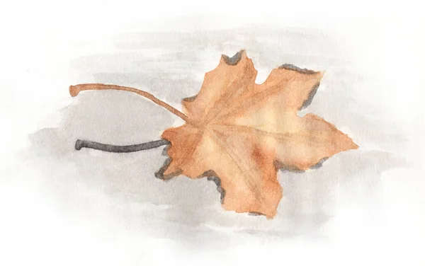 Akvarel Javorového Listu Vodě Plovoucí Podzimní Javorový List — Stock fotografie