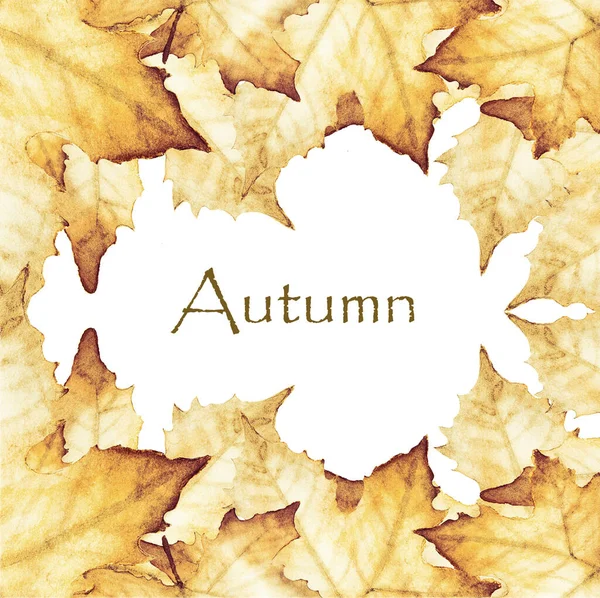 Watercolor Painting Autumn Place Text Maple Leaves Drawing — Stock Photo, Image