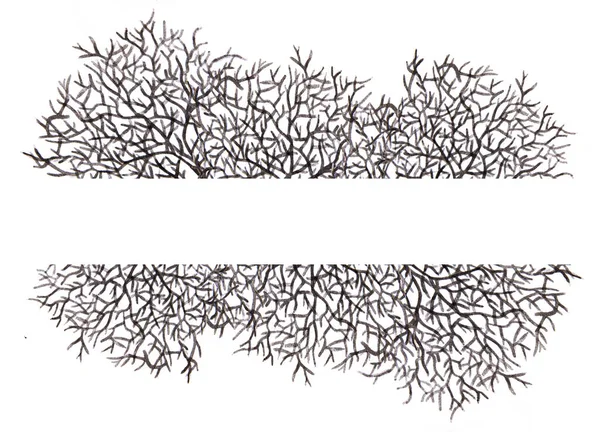 Akvarel Malba Stromu Bez Listí Silueta Místem Pro Text — Stock fotografie