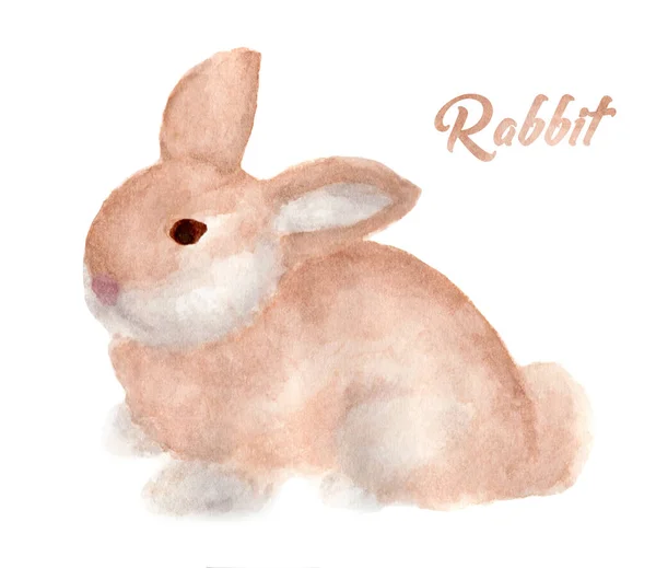 Aquarelle Peinture Lapin Mignon Debout Sur Fond Blanc Lapin Mignon — Photo