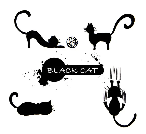 Conjunto Silueta Gato Negro —  Fotos de Stock