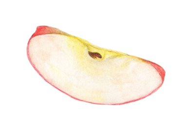 Elma meyvesinin suluboya dilimi - Kırmızı elma çeyreği