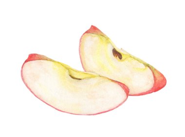 Elma meyvesinin suluboya dilimi - Kırmızı elma çeyreği