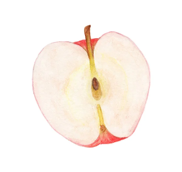 Half Red Apple Watercolor Illustration — Stock Photo, Image