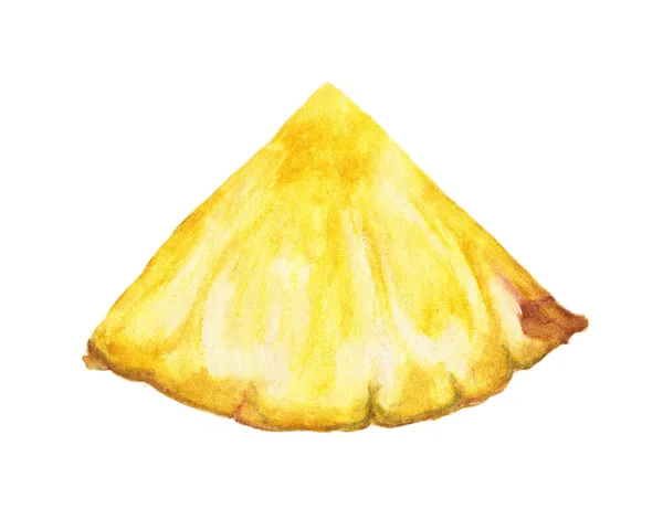 Kawałki Ananasa Ilustracja Akwarela Białym Tle — Zdjęcie stockowe