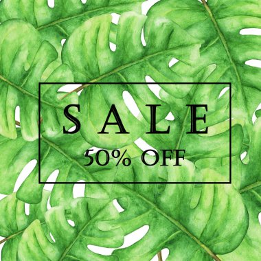 Satış afişi, yeşil canavar yapraklı poster, orman yaprağı. Güzel tropikal yaz arkaplanı, elle boyanmış suluboya.