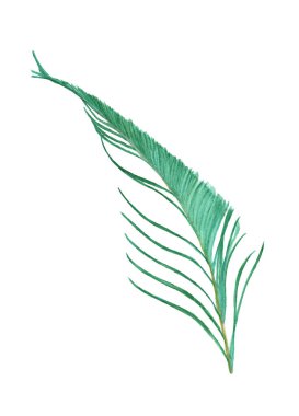 El çizimi suluboya resimler canlı tüy. Boho tarzı kanatlar. Beyazda izole edilmiş bir resim. Tişört, davetiye, düğün kartı için kuş sineği tasarımı. Kırsal Parlak Renkler.