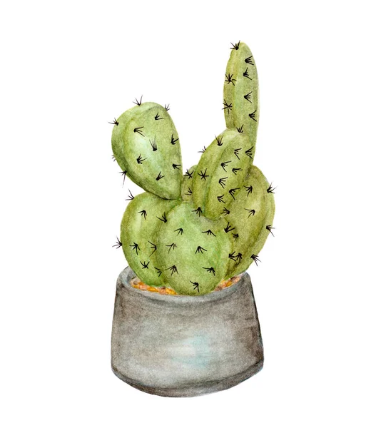 Cactus Pot Hand Painted Watercolor Elements Your Design Perfect Your — Stock Photo, Image