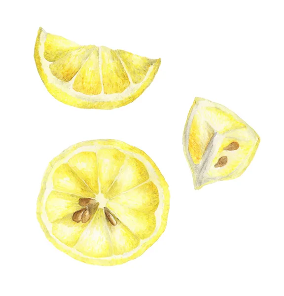 Watercolor Set Lemons Lemon Segments Juicy Lemon — Stock Photo, Image