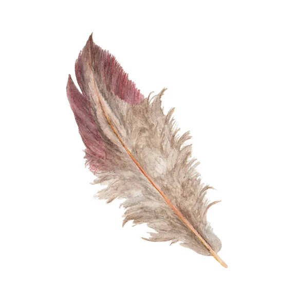 Handgezeichnete Aquarellgemälde Lebendige Federn Flügel Boho Stil Illustration Isoliert Auf — Stockfoto