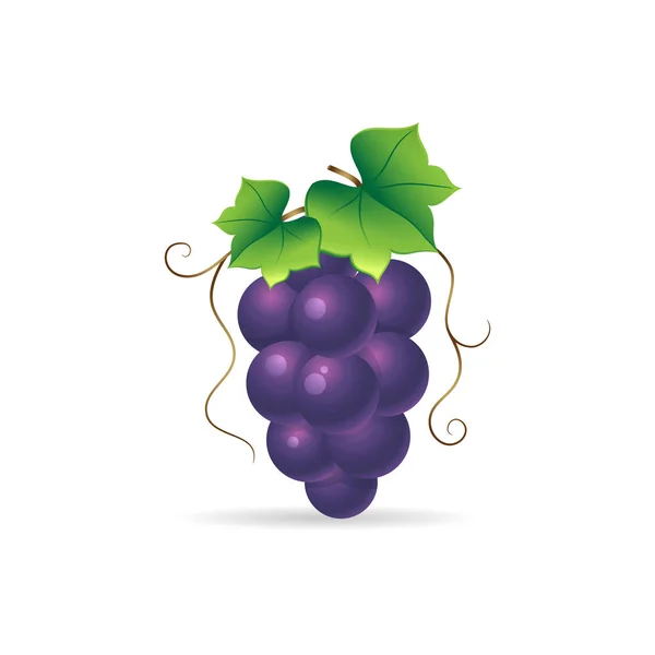 Color Icon - Grape — Stock Vector