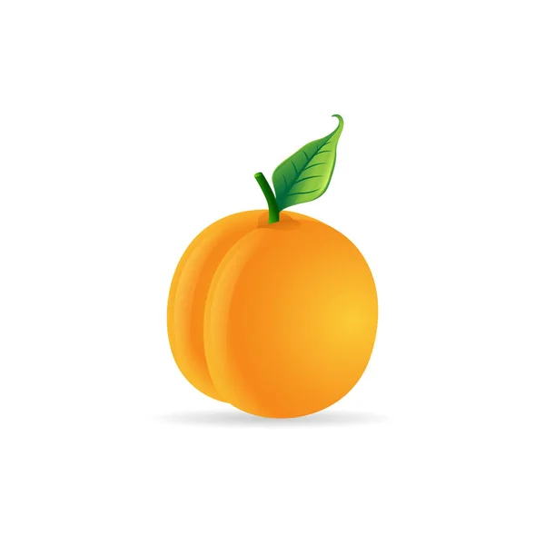 Peach icon in color. — Stock Vector