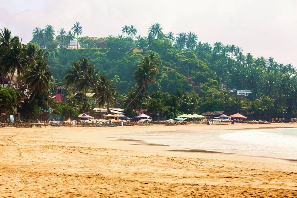 Praia com palmeiras, espreguiçadeiras e guarda-sóis na estação quente — Fotografia de Stock