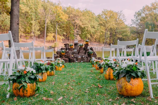 Hochzeitsdekoration mit herbstlichen Kürbissen und Blumen. Zeremonie im Freien im Park. weiße Stühle für Gäste — Stockfoto