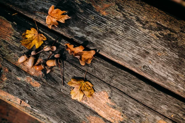 Fondo rustico in legno antico con ghiande e foglie colorate decorazione — Foto Stock