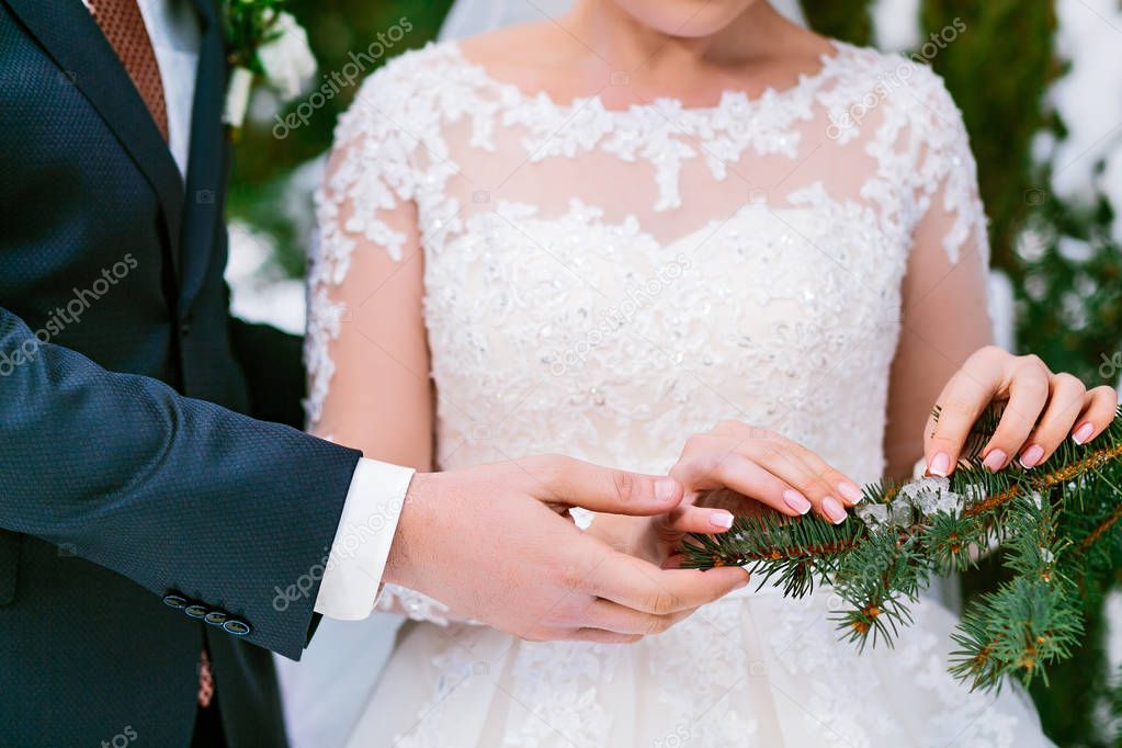 Brides and grooms hands next to the green spruce branch. Winter wedding. Outdoors.
