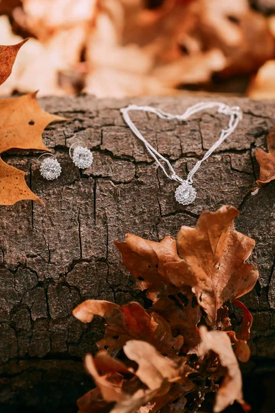 Accesorios para la novia sobre el fondo del tronco del árbol y el follaje otoñal. Obras de arte. Concepto de boda de otoño — Foto de Stock