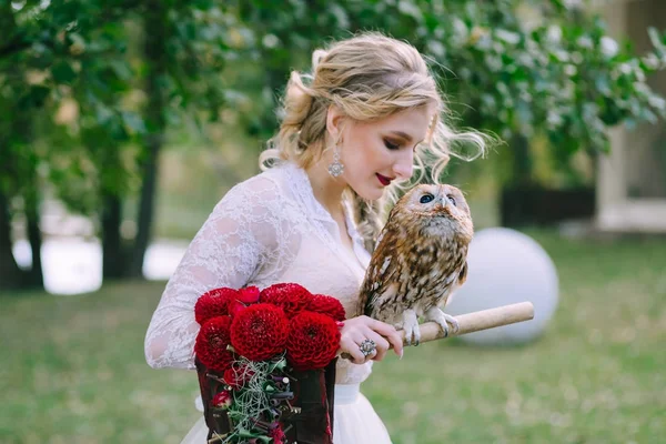 The owl sits on the girls hand. The bride with the owl. — Stock Photo, Image