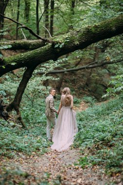 Mutlu bir çift, bir sonbahar ormanındaki bir iz üzerinde yürüyor. Gelin ve damat birbirlerine doğa üzerinde arıyoruz.