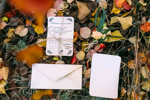 शरद ऋतु पत्तियों के खिलाफ ब्रोशर या दुल्हन कार्ड का मोकअप पाठ के लिए खाली जगह के साथ — स्टॉक फ़ोटो, इमेज