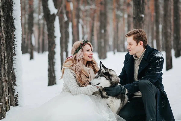 Bride and groom with siberian husky are posed on background of snowy forest. Artwork — Stock Photo, Image