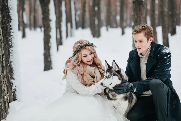 Braut und Bräutigam mit sibirischen Huskys posieren vor verschneiten Wäldern. Kunstwerk — Stockfoto