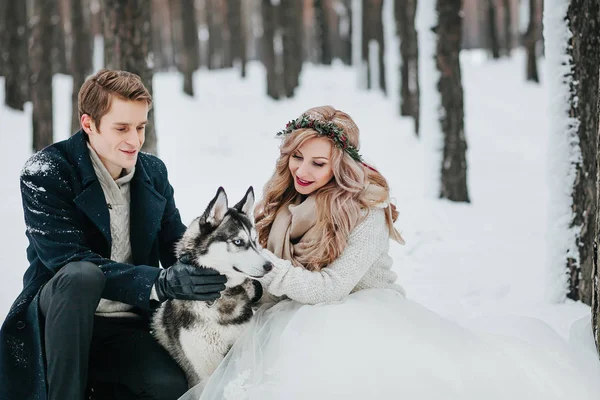 Cheerful couple are playing with siberian husky in snowy forest. Winter wedding Artwork — Stock Photo, Image