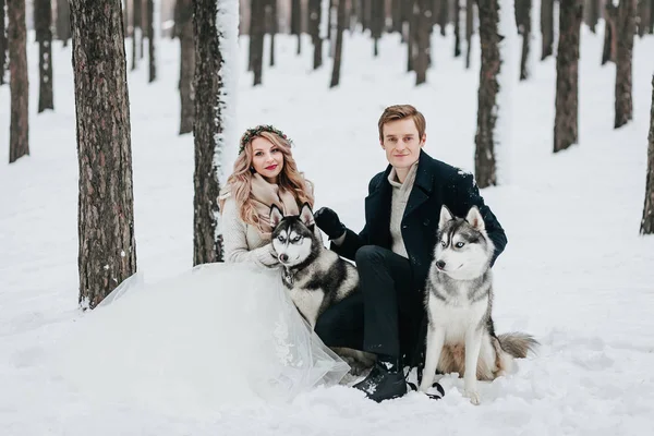 Stylish couple are playing with siberian husky in snowy forest. Winter wedding Artwork — Stock Photo, Image