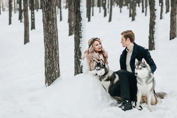 在白雪皑皑的森林里, 一对时髦的情侣正在玩西伯利亚哈士奇。冬季婚礼艺术品 — 图库照片
