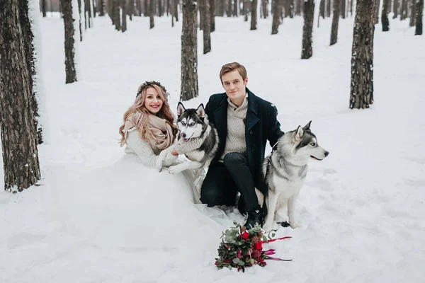 Veselý pár si hraje se sibiřským huskym v zasněženém lese. Zimní svatba Umění — Stock fotografie