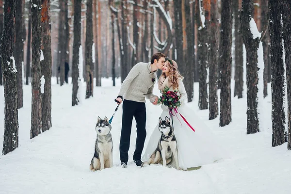 Симпатичная пара с двумя сибирскими хаски позируют на фоне снежного леса. Зимняя свадьба. Озил работает — стоковое фото