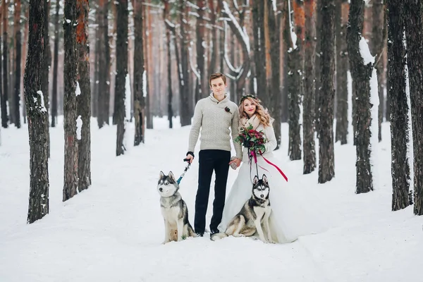 Schöne Frischvermählte mit zwei sibirischen Huskys posieren vor dem Hintergrund des verschneiten Waldes. Kunstwerk — Stockfoto