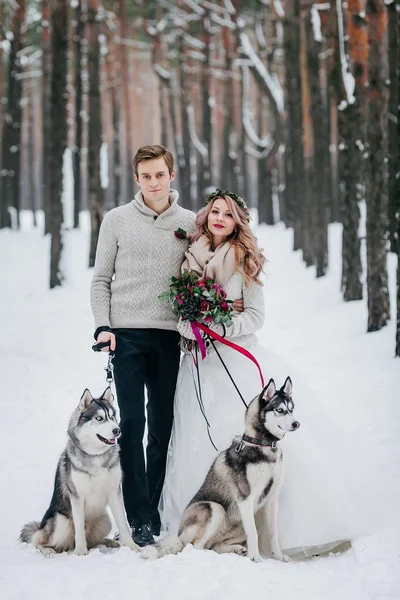 Beautiful bride and groom with two siberian husky are posed on background of snowy forest. Artwork — Stock Photo, Image