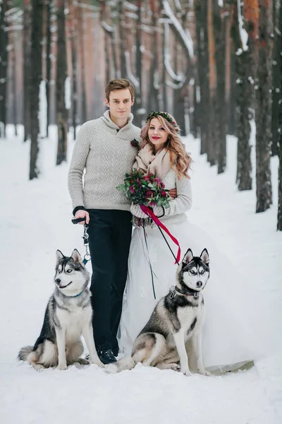 Стильные невеста и жених с двумя сибирскими хаски позируют на фоне снежного леса. Озил работает — стоковое фото