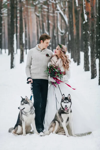 Roztomilý pár s dvěma sibiřský husky je položena na pozadí zasněžených lesů. Svatba v zimě. Kresba — Stock fotografie