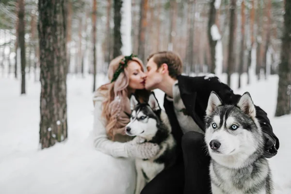 Pengantin pria mencium pengantinnya di kuil pada backg salju putih — Stok Foto