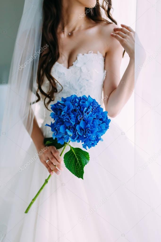 Gorgeous bride holds a blue hydrangeas stem near next to the window. Artwork. selective focus on the flower