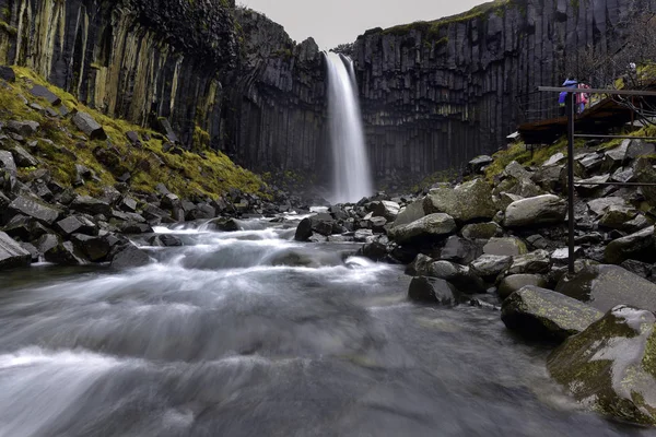 Svartifoss-vízesés és a bazalt oszlopok Izland — Stock Fotó