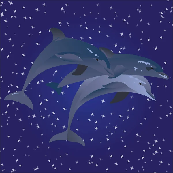 Άλμα ουρανό δελφίνια σε εξωτερικό χώρο ή σε σκοτεινό νυχτερινό ουρανό με αστέρια — Διανυσματικό Αρχείο