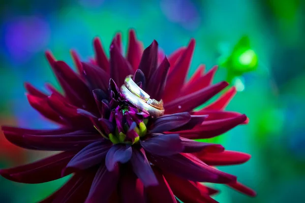 Decorazione di nozze fiori sposa — Foto Stock