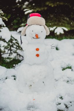 kardan adam Kış erkek çocuk