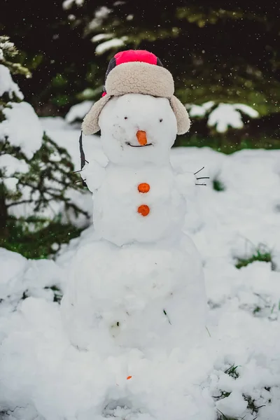 Pupazzo di neve inverno ragazzo bambino — Foto Stock