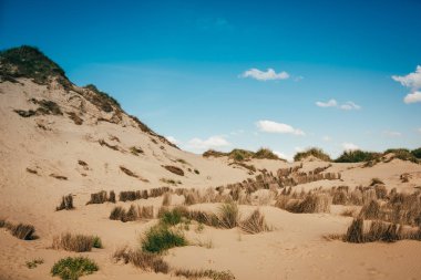 Deniz Hollanda kum deniz feneri