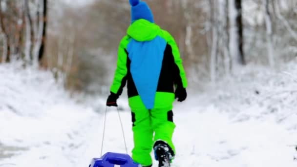 Inverno neve menino diversão — Vídeo de Stock