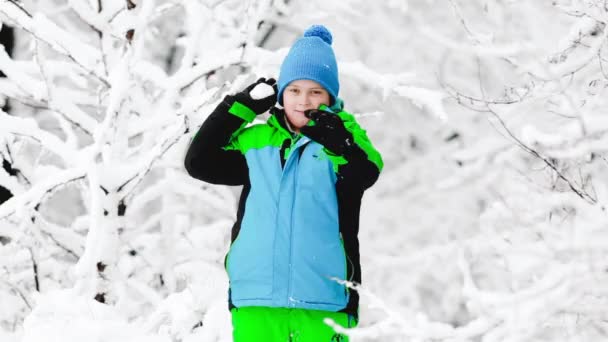 Invierno nieve chico divertido — Vídeos de Stock